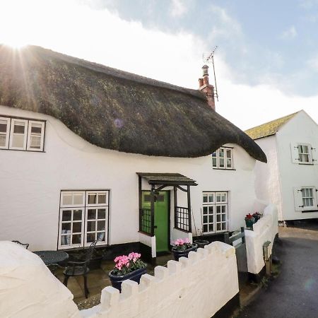 Teign Cottage 틴머스 외부 사진